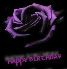 PURPLE ROSE Pictures, Images and Photos