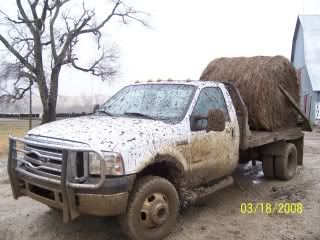 muddy003.jpg