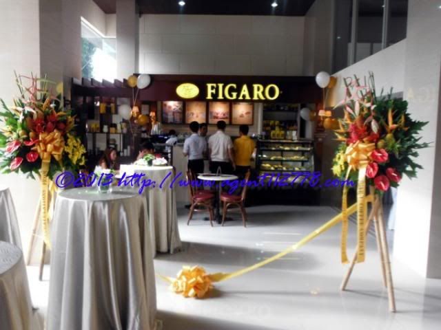 Figaro Patriarch - Ribbon Cutting