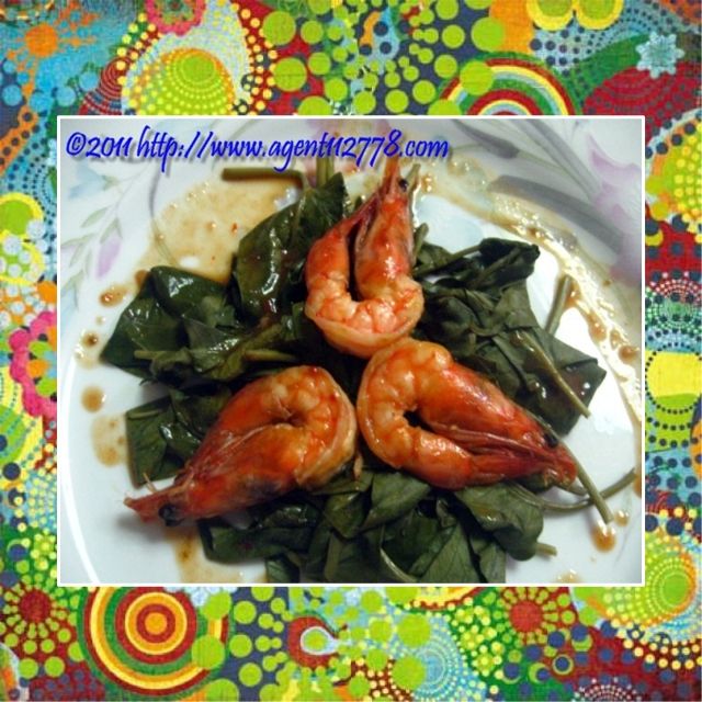 Shrimp in Camote tops Salad photo 365c1_232.jpg