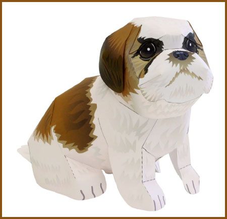 Papercraft papercraft jogja Shih  Tzu