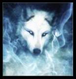 x_Wolf||Spirit Avatar