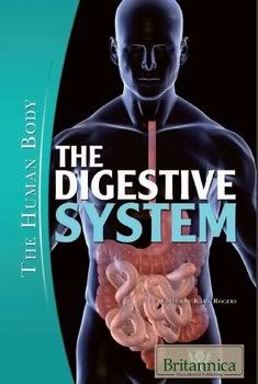 The Digestive System-The Human Body