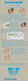icontutorialcopia.png Dogs icon tutorial image by Matteo_047