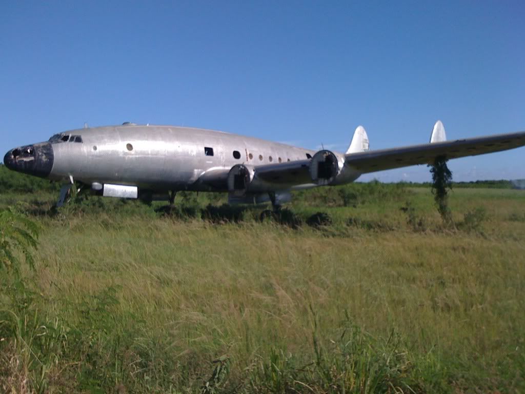 2010008.jpg