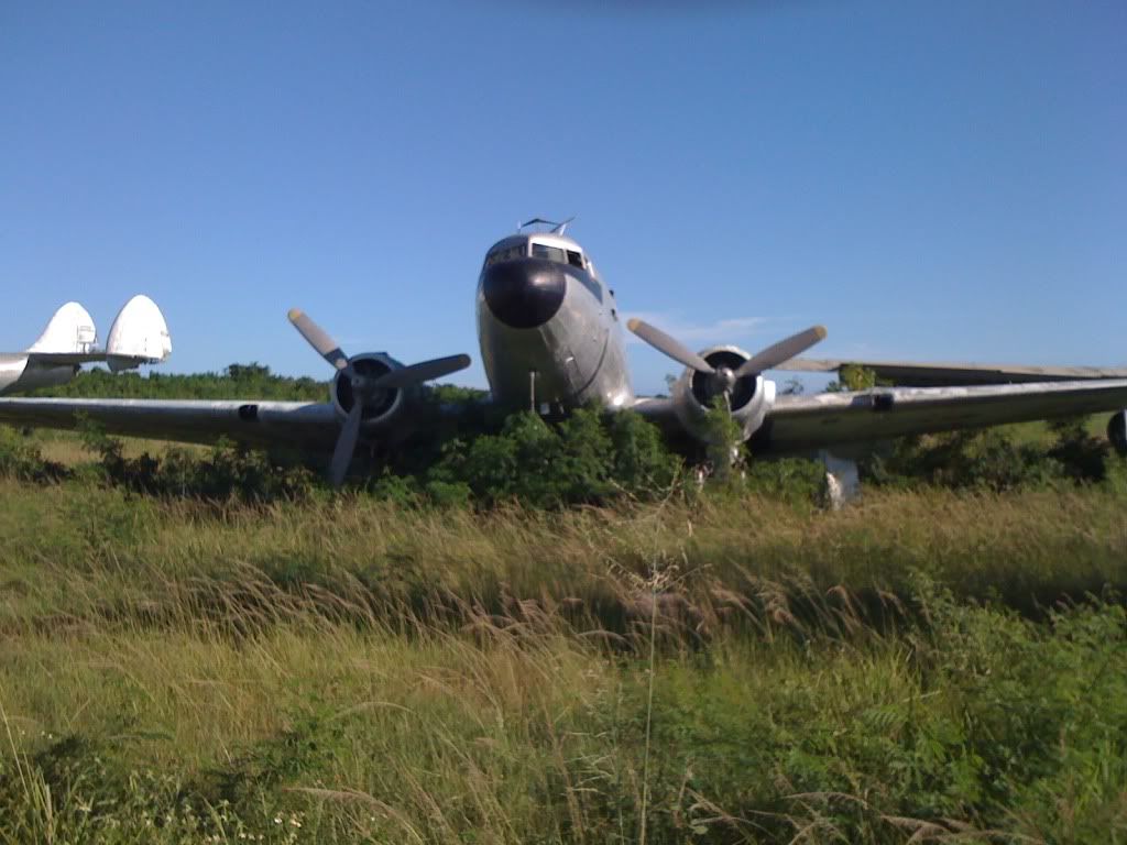 2010014.jpg