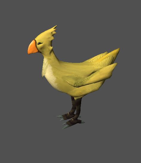 chocobo2.jpg