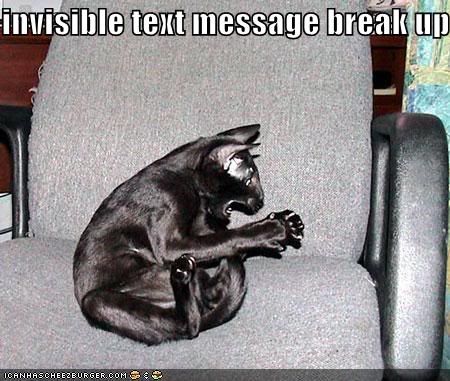 http://i533.photobucket.com/albums/ee339/cressindra/lolcats/funny-pictures-black-cat-invisible-.jpg