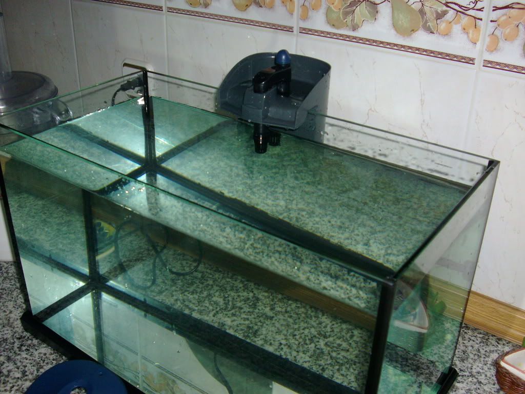 aquario001.jpg