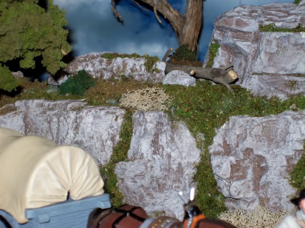 100_7082.jpg