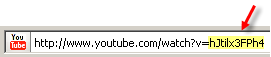 YouTube Video Url