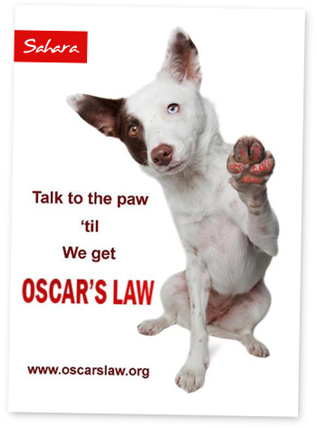  photo TALKTOTHEPAW_zpskvbtephu.png