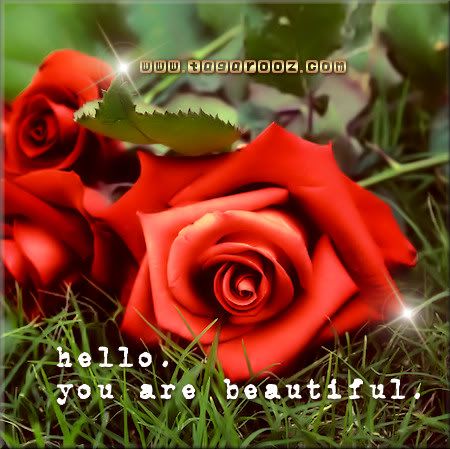  photo compliment658584_0101444_zps399efb03.jpg