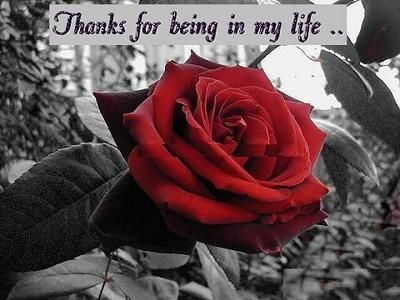  photo friendthanks26_zpszzdjga1r.jpg
