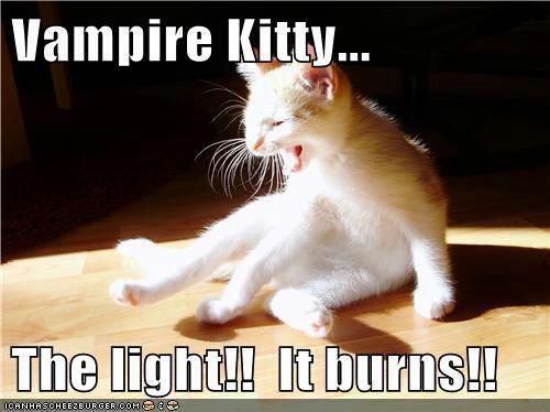  photo VAMPIREKITTY_zps95f71650.jpg