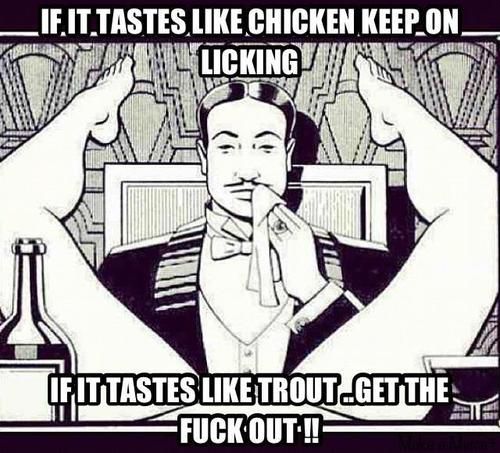  photo chicken_zpscf3ba0a4.jpg