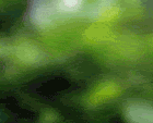 download.gif