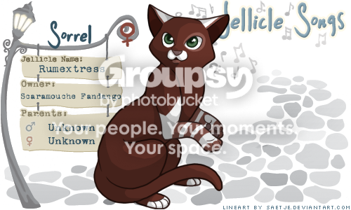 User Image