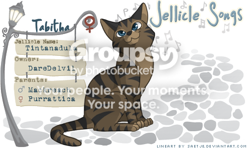 User Image